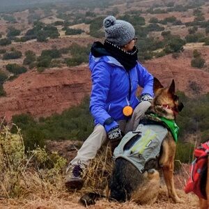 Ruffwear Front Range Dog Harness in Basalt Gray Size L/XL